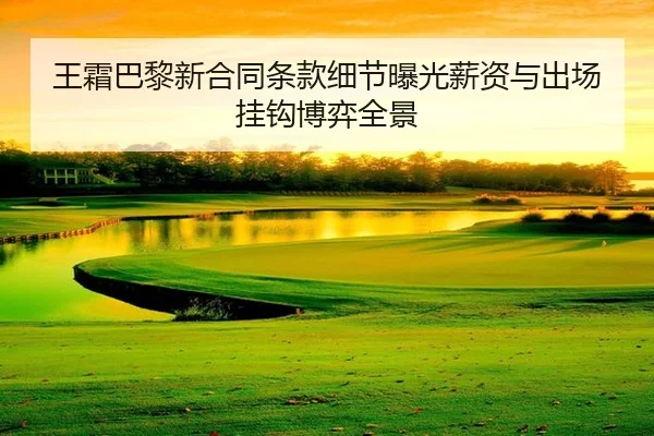 wang-shuang-ba-li-xin-he-tong-tiao-kuan-xi-jie-bao-guang-xin-zi-yu-chu-chang-gua-gou-bo-yi-quan-jing-2-991.jpg